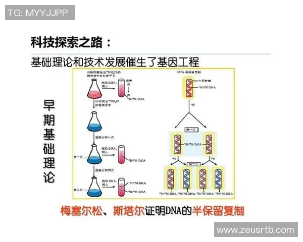 篮球运动的魅力与发展趋势探索:从基础技术到全球化影响的全面分析 篮球运动的魅力与发展趋势探索:从基础技术到全球化影响的全面分析